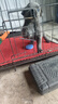 新宠之康 宠物羊奶粉400g狗狗猫咪成幼犬猫泰迪金毛羊奶粉营养补充 实拍图