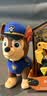 汪汪队立大功（PAW PATROL）男孩女孩玩具车儿童生日礼物儿童小砾工程家族 小砾挖掘推土机 实拍图