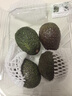 广西塔希提无籽青柠檬薄皮新鲜现摘青柠香水柠檬【百补优选】 【10个】塔希提青柠檬 单果净重50g 实拍图