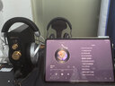 HIFIMAN（海菲曼）EF499解码耳放一体机 家用桌面台式R2R DAC 数字流媒体网播 解码器 实拍图