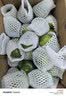 京鲜生【夏季限定】云南青皮蜜桔酸桔子净重8斤单果55mm+源头直发包邮 实拍图