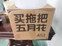 五月花旋转拖把共2布家用一拖净免手洗2026拖把带桶一套拖布吸水墩布 实拍图