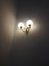 施科普 美式简约壁灯床头卧室客厅现代创意LED欧式过道楼梯阳台墙壁灯具莲花灯罩 K002-2配送12瓦灯泡 晒单实拍图
