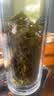 承道铭茶叶毛尖绿茶 明前新茶特级信阳原产浓香型嫩芽茶叶罐装 【特级明前嫩芽毛尖茶单罐100g】 实拍图