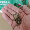 网易严选全价猫粮4.0 宠物主粮成幼猫无谷鲜肉美毛护肠胃 鸡肉羊奶味1.5kg 实拍图