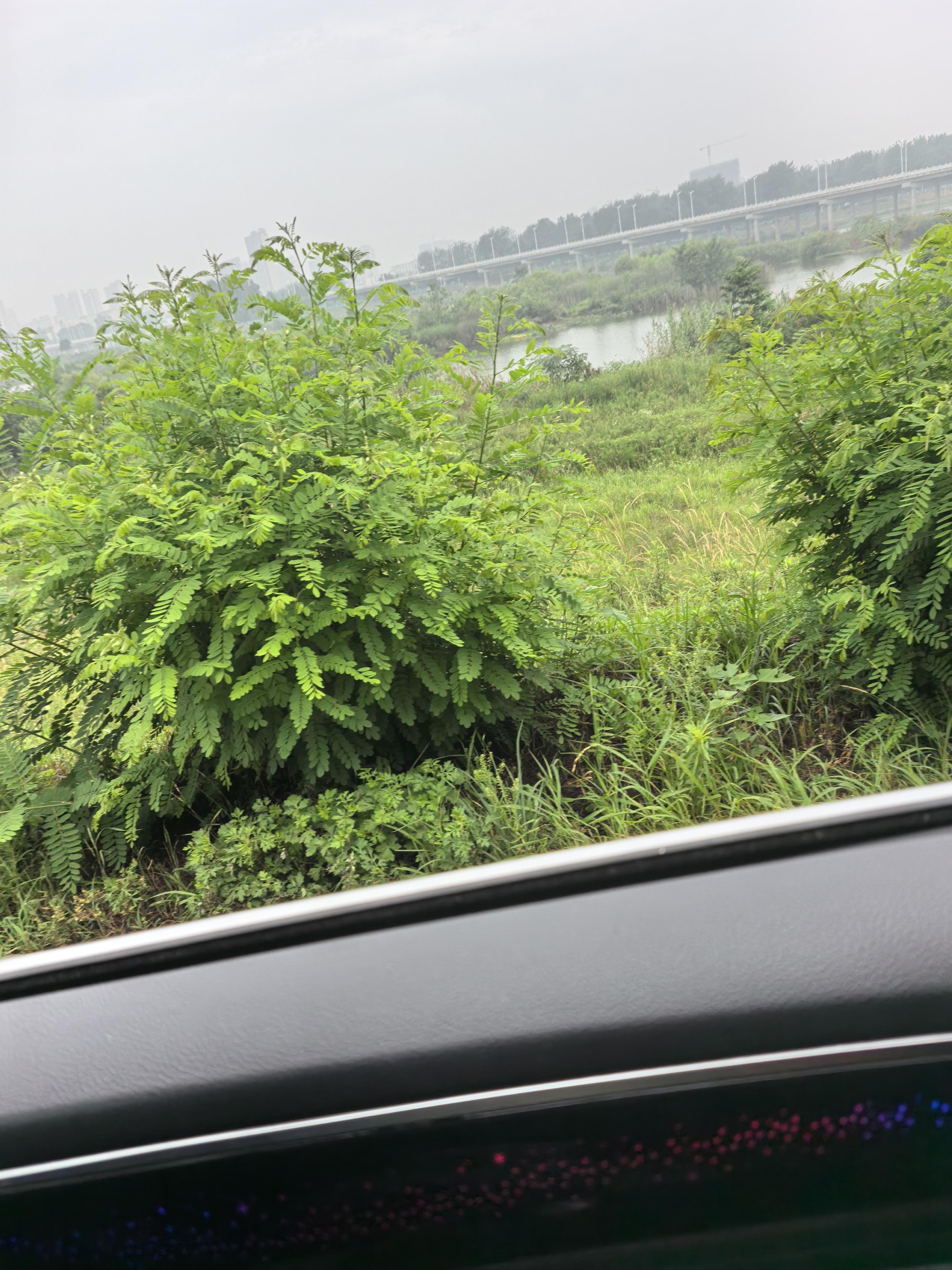 西玛（SIMAA）200g袋装橡皮筋高弹力强耐用 一次性橡皮筋 实用橡胶圈 牛皮筋 办公财务用品 量贩装8610 实拍图