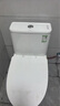 九牧（JOMOO）11173-2-1/31KD-3大力神家用马桶虹吸抗菌节水洁具305坑距 实拍图
