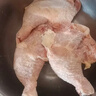 正大鸡全腿2斤 鸡腿鸡肉鸡腿肉低脂生鲜早餐烤鸡大腿炸大鸡腿鸡肉 实拍图
