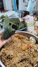 展艺熟咸蛋黄200g(20粒) 红心蛋黄酥麻薯粽子蛋黄鸡翅烘焙馅料原料 实拍图