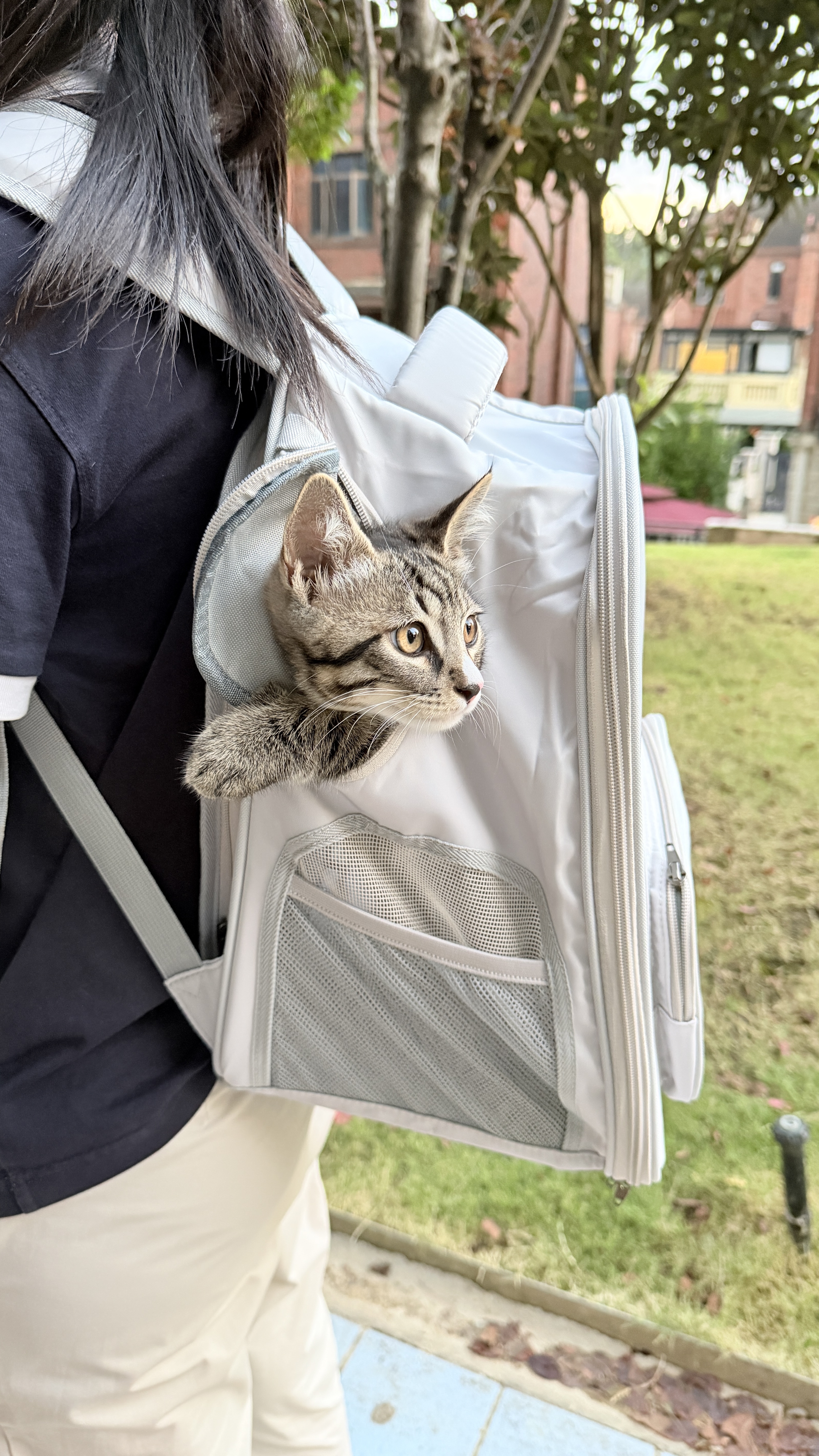 DO DO PET宠物背包猫包外出便携宠物包太空舱猫咪小狗透气双肩包包书包大号 灰色(拓展款-可变帐篷)【京东送货上门】 建议12斤内猫咪，8斤内狗狗使用 实拍图