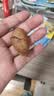 三只松鼠大颗粒碧根果500g 罐装坚果炒货干果手剥零食送礼团购一斤装 实拍图