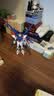 万代（BANDAI）HG1/144 HGBF 001 创战者 全装扩展 创制强袭高达 拼装中文版 实拍图