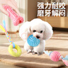 HELLOJOY狗狗玩具球小狗磨牙棒骨头耐咬狗咬胶小型犬宠物用品幼犬自嗨解闷 实拍图
