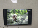 TCL雷鸟电视【价保618】 55英寸雀4 144Hz高刷 2+32GB 自定义遥控器 电视55F270C-JN 实拍图