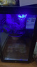 先科（SAST）冰吧冷藏柜 欧式恒温红酒柜办公室酒店家用电冰箱迷你小型单门电竞茶叶保鲜柜展示留样饮料药品柜 90T 黑胆（全冷藏保鲜+蓝光灯+带锁） 实拍图