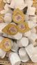 雀巢（Nestle）咖啡奶茶伴侣 原味10ml*300粒整箱 咖啡伴侣奶精球 0反式脂肪酸 实拍图