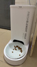 小佩智能自动喂食器SOLO白色 定时定量猫咪自动投食器(支持鸿蒙智联) 实拍图