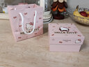 三丽鸥（SANRIO）Hellokitty925纯银项链吊坠小众高级生日礼物七夕情人节礼物 3062 实拍图