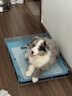 贵为（GiGwi）狗玩具磨牙棒狗狗磨牙玩具幼犬小型犬木塑鹿角小号宠物用品玩具 实拍图