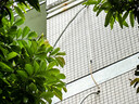 立邦外墙漆油漆涂料防水乳胶漆自建房新城镇外墙漆防晒耐候白漆 5kg 实拍图