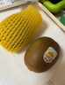 佳沛（zespri）新西兰阳光金奇异果16粒礼盒经典果单果 88-103g  猕猴桃水果礼盒 实拍图