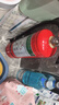 神龙25年新国标水基型灭火器3L 商用企业车载家用消防器材 MS/ABEF3 实拍图