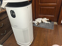 东芝（TOSHIBA）空气净化器宠物净化器大白梨PET去毛除毛大风量除花粉过敏源除尘净化除螨消毒杀菌除味【价保618】 实拍图