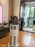 霍尼韦尔（Honeywell）宠物猫用空气净化器价保618吸猫毛除甲醛异味过敏源杀菌消毒母婴级KJ520F-C22W霍哈宝H-Cat Hub 实拍图