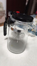 飘逸壶泡茶壶耐热高温玻璃沏茶过滤内胆冲茶器家用茶具套装 飘逸杯500mL1个 实拍图