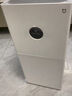 米家小米空气净化器4lite 价保618  除甲醛除菌除异味 空气伴侣 除PM2.5 AC-M17-SC 实拍图