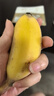 苹果蕉新鲜广西香蕉自然熟芭蕉香甜粉糯万澄现摘生鲜现发水果 带箱3斤 实拍图