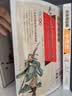 三国演义小学生青少年版美绘版四大名著青少年学生版无障碍阅读版三四五六年级课外书少年读经典系列暑假必读课外阅读名著阅读彩色美绘名师讲解开学季 实拍图