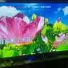 SONY XAVC品牌补贴20％55寸65寸70寸75寸85寸100寸智能网络全面屏电视机 65英寸 8K智能网络全面屏 实拍图