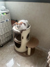 华元宠具（hoopet）冬季猫爬架家用小户型不占地猫窝一体猫咪观室内跳台剑麻桶猫抓桶 实拍图