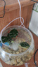 松宝（sobo）鱼缸氧气泵养鱼增氧机充氧泵家用小型制氧机氧气机鱼用充氧器低音 【升级更静】单孔4W全套配件+气石 实拍图