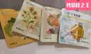 千金本草菊贡茶8克*14包/盒 黄山贡菊花祛火养生茶加甘草 送礼佳选 实拍图