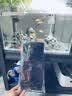 鱼漾过滤棉鱼缸生化棉加厚活性炭棉高密度过滤材料水族箱净化魔力绵 魔力棉50cmx11cmx2cm 实拍图