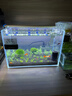 彻朗鱼缸温度计高精度显示屏小型电子探头水温计外贴龟缸水族用峰值版 实拍图