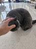N1 爱宠爱猫N1玉米纯豆腐猫砂3包套装11.1kg升级2.0mm颗粒易结团可冲厕所 实拍图