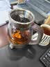 小熊（Bear）煮茶器蒸汽喷淋式养生壶加厚玻璃煮茶器黑茶办公室蒸茶器迷你电热烧水壶保温小型泡茶炉1L送礼礼物 【304滤网-旋钮控制】 1L 实拍图