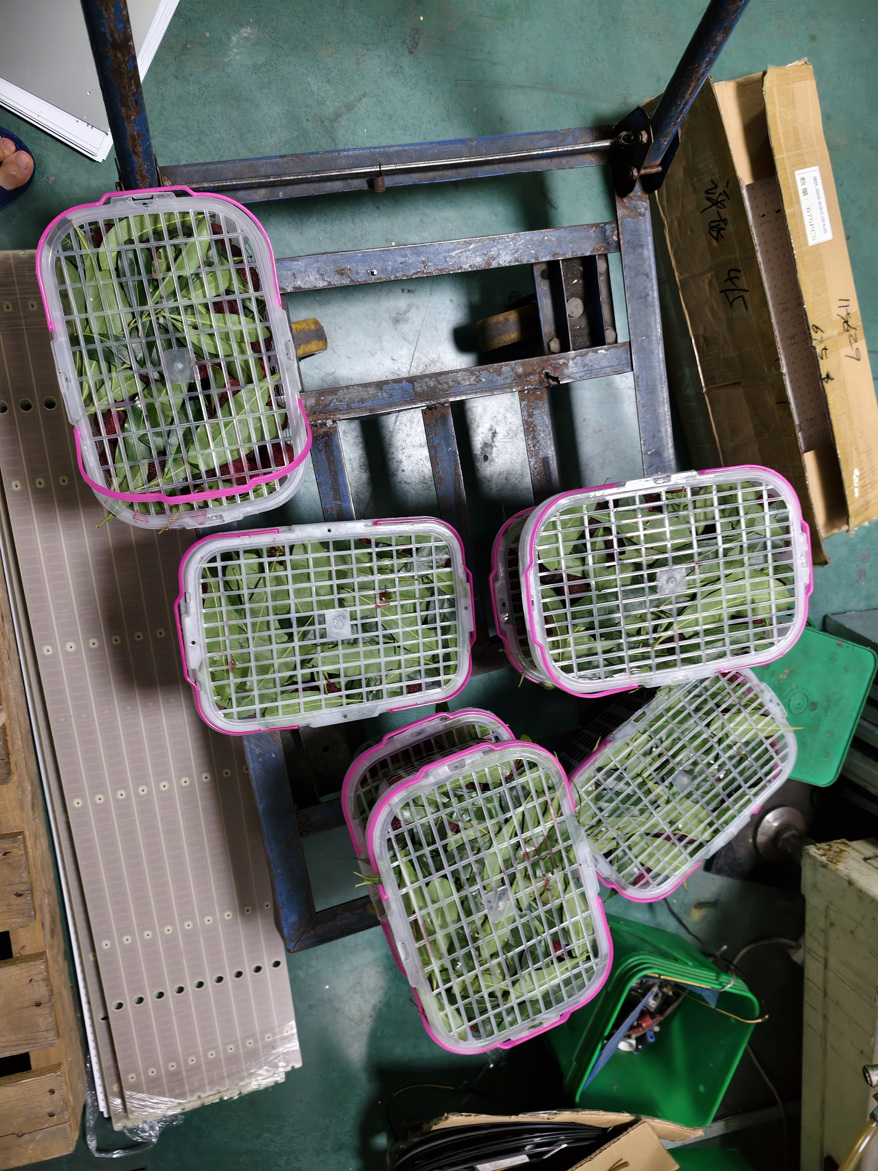 华恺之星实木沙发客厅卧室沙发布艺沙发木架沙发中小户型沙发 双人位 S68 实拍图