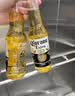 科罗娜（CORONA）特级啤酒330ml*24瓶啤酒整箱装经典拉格京东自营端午送礼 晒单实拍图