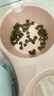 麦富迪狗粮 藻趣儿狗粮幼犬粮牛肉螺旋藻 呵护肠胃2.5kg 实拍图