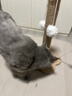HELLOJOY猫抓柱剑麻猫抓板猫玩具耐抓耐磨不掉屑猫爬架立式自嗨解闷用品 实拍图