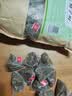 半山农 柿子叶500g（5g*100袋）新鲜干货柿叶霜后柿子树叶霜打柿子叶茶 实拍图