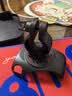 飞利浦（PHILIPS）TAS1160户外骑行蓝牙音箱迷你小音响便携式随身跑步运动自行车音箱带骑行支架男女生日礼物 实拍图