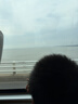 海澜之家男士皮带商务自动扣休闲腰带年轻人裤带生日节日礼物送男友送老公 实拍图