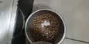 耐威克全价鲜肉猫粮 专系列美毛猫专用粮2.5kg 成猫幼猫靓丽毛发天然粮 实拍图