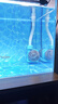 创宁水陆两用变频水泵静音过滤循环潜水泵CN9500-13W 10档流量调节 实拍图