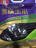 十月稻田 黑糯玉米 3.52斤(220g*8根) 东北玉米 杂粮粗粮 低脂早餐 实拍图